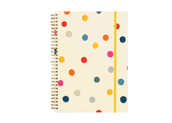 The Ball Pit notebook cover and the planner page spreads alternating in video format.