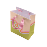 Loop De Loop Medium Gift Bag - Talking Out Of Turn