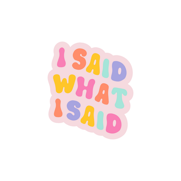 "I Said What I Said" sticker with rainbow letters in pink, purple, yellow, light teal, and orange.