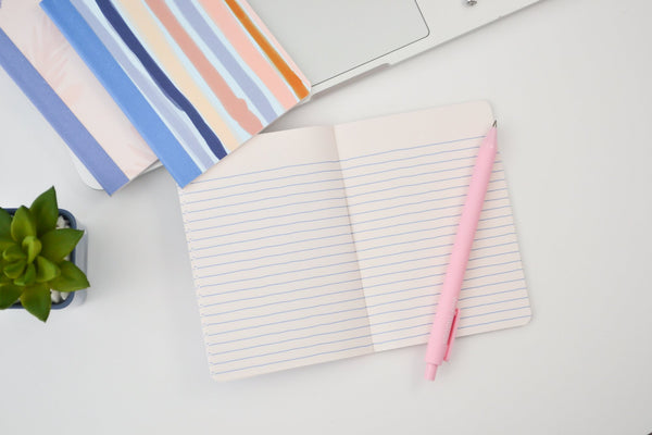 The inside of a mini notebook with periwinkle lines and a pink jotter pen