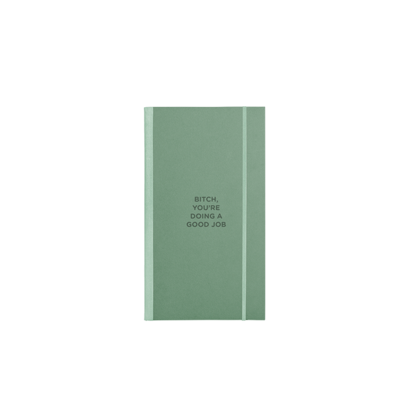 "Bitch, you're doing a good job" teal skinny notebook