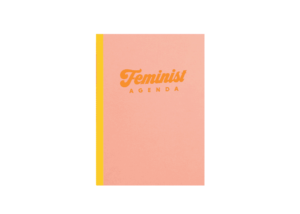 Video of the different page spreads in the Peach colored Feminist Agenda. Including the cover, the different types of page layouts, the different motivational illustrations in the notebook, and the backside cover.