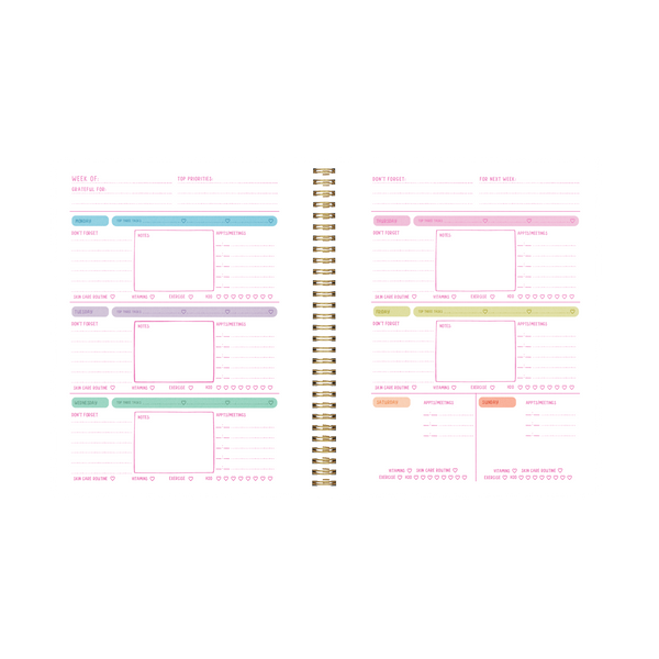 Perpetual Planner - Goal Getter Lite - Talking Out Of Turn opened on weekly to-do-list and reminders for the week.