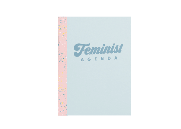 Video of the different page spreads in the Blue Feminist Agenda.  Including the cover, the two different types of page layouts, and the backside cover.